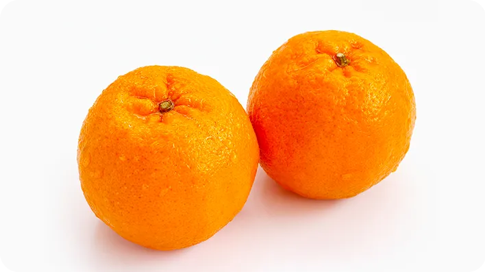 セミノールオレンジ