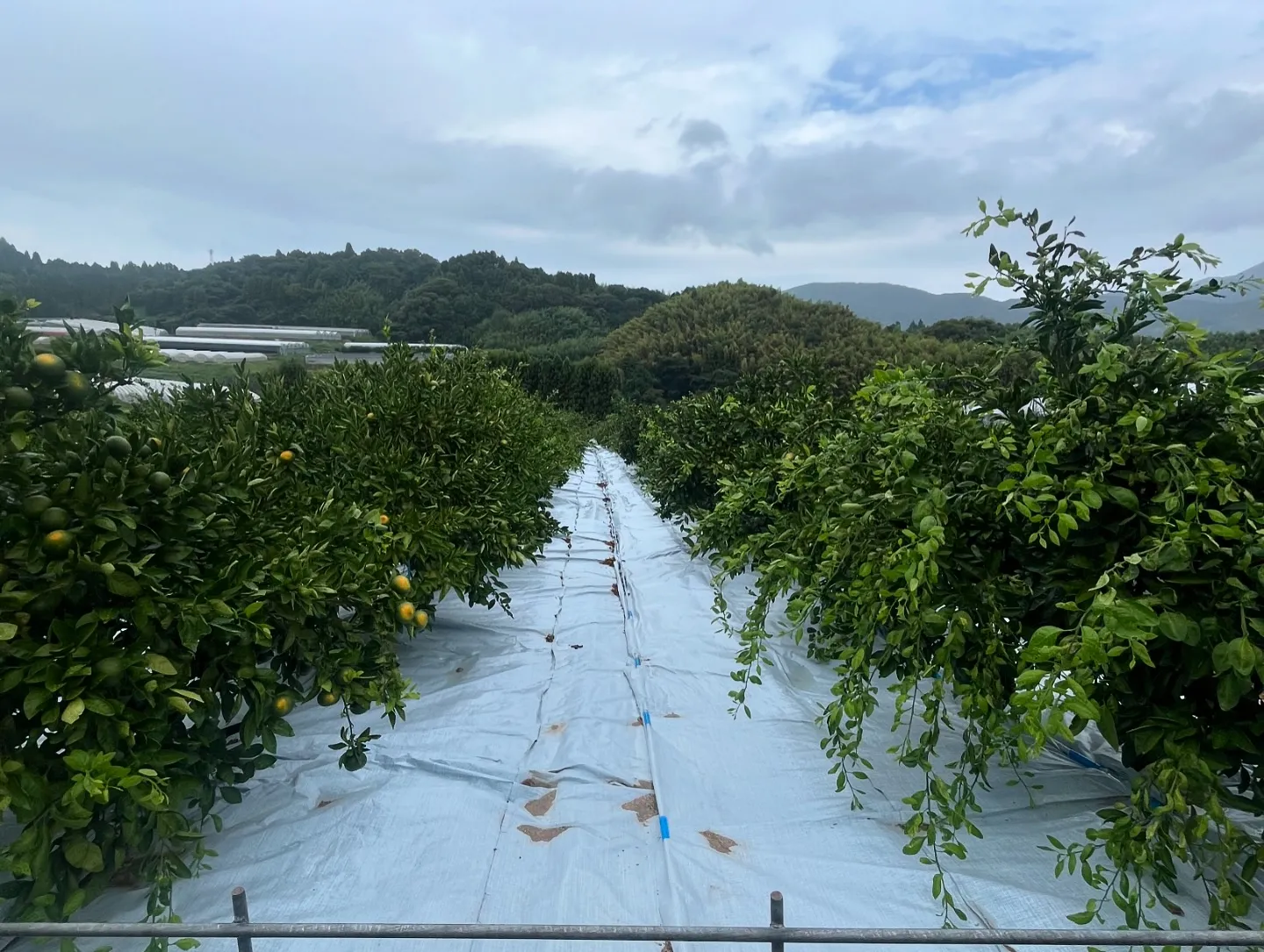 佐賀（唐津）に視察に行ってきました。